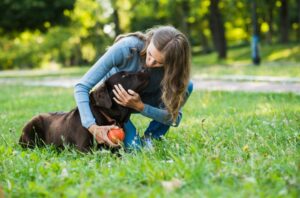 dogoterapia co to jest i dlaczego zyskuje na popularnosci
