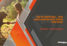 Pies do dogoterapii – jakie cechy powinien mieć idealny czworonóg? Pies do dogoterapii – jakie cechy powinien mieć idealny czworonóg?