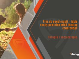 Pies do dogoterapii – jakie cechy powinien mieć idealny czworonóg?