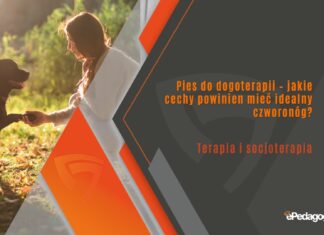 Pies do dogoterapii – jakie cechy powinien mieć idealny czworonóg?